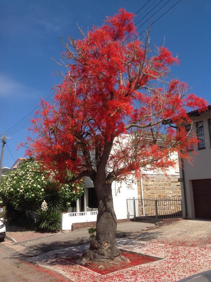 Park House Lodge Mossel Bay Esterno foto